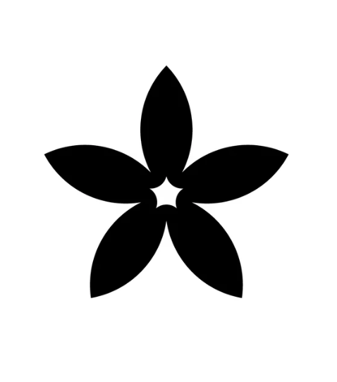 星野寄书游戏资讯站